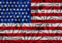 Senators Unveil Draft Legalization Bill US federal cannabis legalaztion lightsource Depositphotos mg Magazine mgretailer