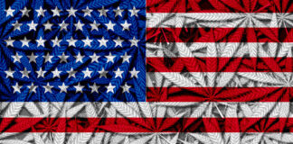 Senators Unveil Draft Legalization Bill US federal cannabis legalaztion lightsource Depositphotos mg Magazine mgretailer
