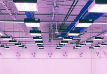 Revolution Micro: Programmable Spectrum Changes Everything Blue Purple Next-Gen Avici Room Light Setup Revolution Micro mg Magazine mgretailer