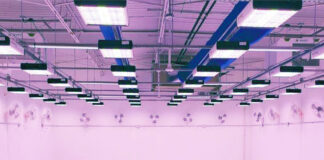 Revolution Micro: Programmable Spectrum Changes Everything Blue Purple Next-Gen Avici Room Light Setup Revolution Micro mg Magazine mgretailer