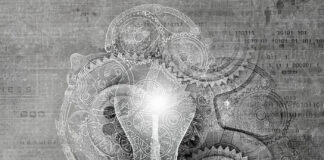 Clever Marketing Tactics and How to Leverage Them How to leverage clever marketing tactics