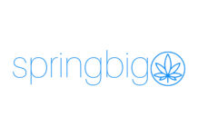 springbig and KORONA POS Launch Loyalty Integration Feature springbig logo white background lowercase light blue font spelling springbig adjacent to a geometric weed leaf in a circle