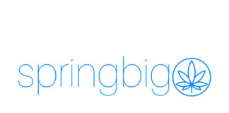 springbig Announces Loyalty Integration With Greenline, Canada’s Premier POS System springbig logo white background lowercase light blue font spelling springbig adjacent to a geometric weed leaf in a circle