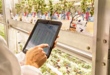 Agrify Insights Addresses Common Cultivation Software Pitfalls Agrify Insights software