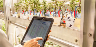 Agrify Insights Addresses Common Cultivation Software Pitfalls Agrify Insights software