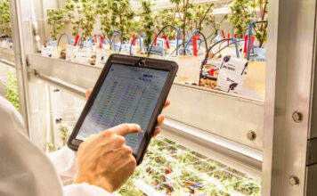 Agrify Insights Addresses Common Cultivation Software Pitfalls Agrify Insights software