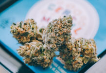 Affordable Cannabis Flower Brands Find Enthusiastic Market Cookies flower Adam Stanzak photo affordable cannabis mg Magazine