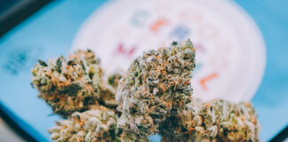 Affordable Cannabis Flower Brands Find Enthusiastic Market Cookies flower Adam Stanzak photo affordable cannabis mg Magazine