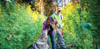 Farmers Embrace Sustainable Cannabis Cultivation Craig and Melanie Johnson Alpenglow Farms sustainable cannabis cultivation mg Magazine