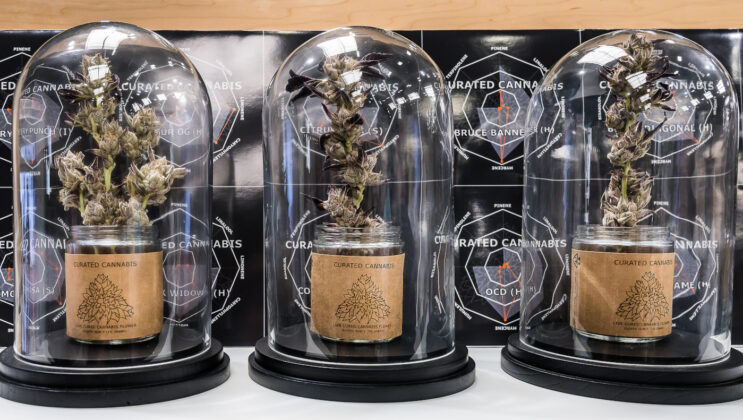 Hall of Flowers Curated Cannabis by Mike Rosati mg Magazine