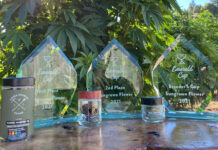 How Two-Way Humidity Control Protects Terpenes Red Ted Blair Emeral Cup Trophies mg Magazine