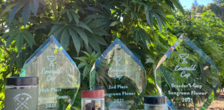 How Two-Way Humidity Control Protects Terpenes Red Ted Blair Emeral Cup Trophies mg Magazine