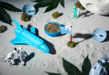 Rocket Seeds Cultivates Social Consciousness Rocket-Seeds Moon landing mg Magazine