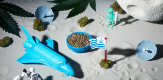 Rocket Seeds Cultivates Social Consciousness Rocket-Seeds Moon landing mg Magazine