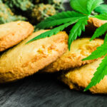 Edibles Gobbling Up Shelf Space cannabis edibles cookies photo by Dmytro Tyshchenko mg Magazine