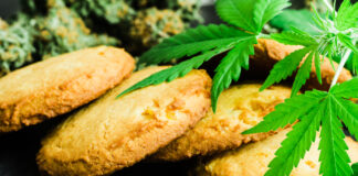 Edibles Gobbling Up Shelf Space cannabis edibles cookies photo by Dmytro Tyshchenko mg Magazine