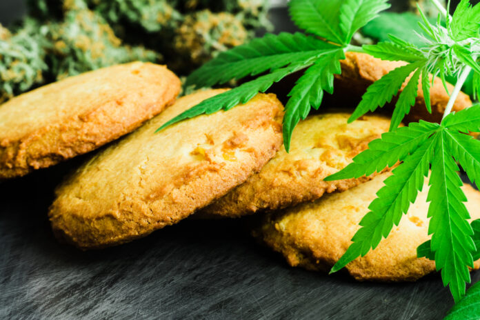 cannabis edibles cookies photo by Dmytro Tyshchenko mg Magazine