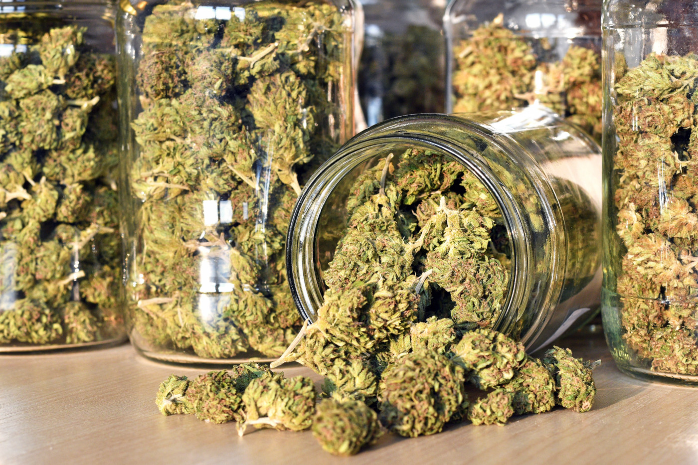 cannabis flower in jars photo by Soru Epotok mg Magazine