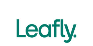 Leafly Releases 6th Annual Cannabis Jobs Report leafly logo green letters white background