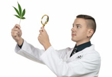 CSQ Helps Companies Prepare for Looming Federal Standards CSQ founder Tyler Williams