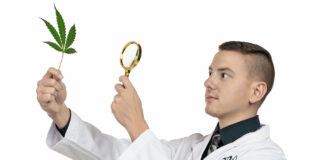 CSQ Helps Companies Prepare for Looming Federal Standards CSQ founder Tyler Williams