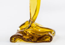 Cannabis Concentrates Trends in the U.S. and Canada Cannabis concentrates Cy Scott photo by Mitch M mg Magazine