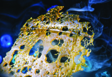 Cannabis Concentrates Nibbling at Edibles’ Lead cannabis concentrates shatter photo by Roxana-Gonzalez mg Magazine