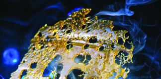 Cannabis Concentrates Nibbling at Edibles’ Lead cannabis concentrates shatter photo by Roxana-Gonzalez mg Magazine