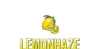 Cannabis Captains of Industry Tee Off at the Inaugural Lemonhaze Cannabis Industry Executive Golf Invitational – 10/19 @Las Vegas lemonhaze logo mg Magazine mgretailler