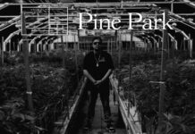Legendary gaming entrepreneur Hector “HECZ” Rodriguez Launches Cannabis Brand pine peak mg Magazine mgretailler