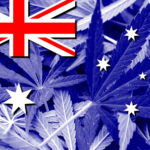 How Australia Accomplished Federal Cannabis Legalization Australia cannabis legalization Lukasz-Stefanski mg Magazine