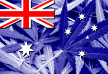 How Australia Accomplished Federal Cannabis Legalization Australia cannabis legalization Lukasz-Stefanski mg Magazine