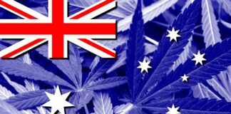 How Australia Accomplished Federal Cannabis Legalization Australia cannabis legalization Lukasz-Stefanski mg Magazine