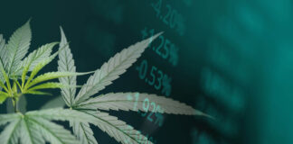 The Market for Cannabis SPACs Cannabis SPACS csp Engdao -Fotosearch mg Magazine