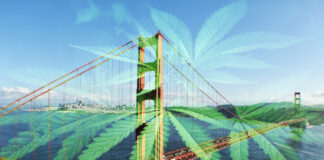 Looking Back on 25 Years of Cannabis Legalization Cannabis legalization San Francisco ShutterstockProfessional illustration mg Magazine