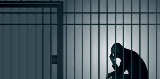 Illegal Cannabis Operation Could Net Conspirator Life Sentence Illegal cannabis prison Pictrider illustration mg Magazine