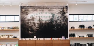 Glass House to Acquire PLUS for $25.6M Glass House Brands
