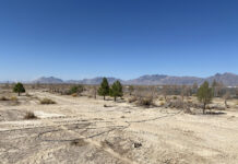 Deserts Offer Sustainable Solutions for Outdoor Cultivation outdoor cultivation MJ Holdings Inc.