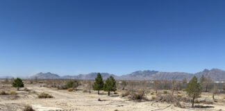 Deserts Offer Sustainable Solutions for Outdoor Cultivation outdoor cultivation MJ Holdings Inc.