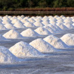 Salt: Earth’s Natural Solution For Cannabis Preservation Salt field ready for harvest by siripong panasonthi mg Magazine