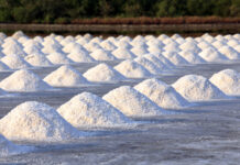 Salt: Earth’s Natural Solution For Cannabis Preservation Salt field ready for harvest by siripong panasonthi mg Magazine