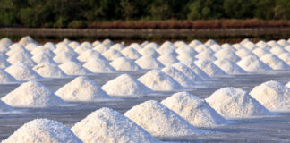 Salt: Earth’s Natural Solution For Cannabis Preservation Salt field ready for harvest by siripong panasonthi mg Magazine