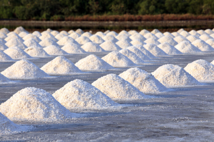Salt field ready for harvest by siripong panasonthi mg Magazine
