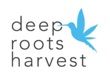 Deep Roots Harvest Appoints Jace Goodrow Vice President of Growth deep roots harvest logo