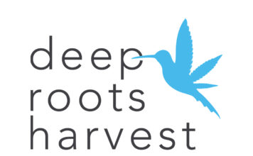 Deep Roots Harvest Annual Food Drive Nets Nearly 5,000 Pounds of Canned Goods deep roots harvest logo