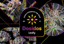 Leafly Announces 2021 Cannabis Strain of the Year leafly 2021 cannabis strain of the year mg Magazine mgretailler