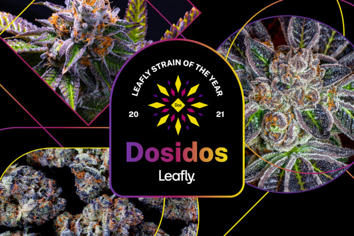leafly 2021 cannabis strain of the year mg Magazine mgretailler