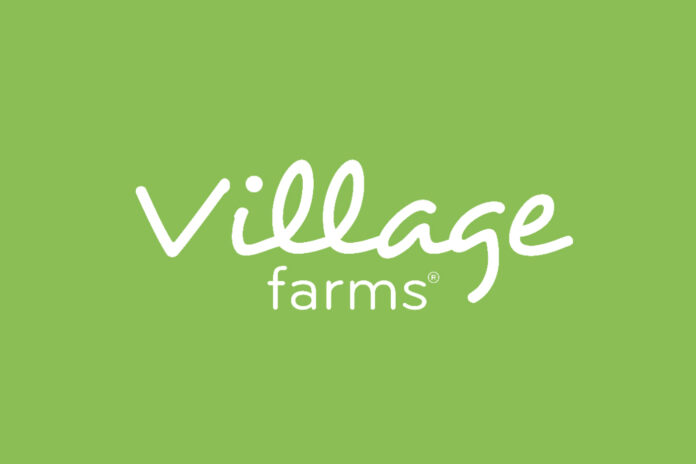 village farms logo lime green background white writing village in large lowercase loose cursive above the words farms in simple sans serif font