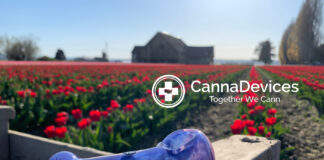 Glassmaker CannaDevices Is Molding Something Special CannaDevices