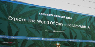 Cannabis Drinks Expo 2021 Cannabis Drinks Expo 2021 Mike Rosati mg Magazine